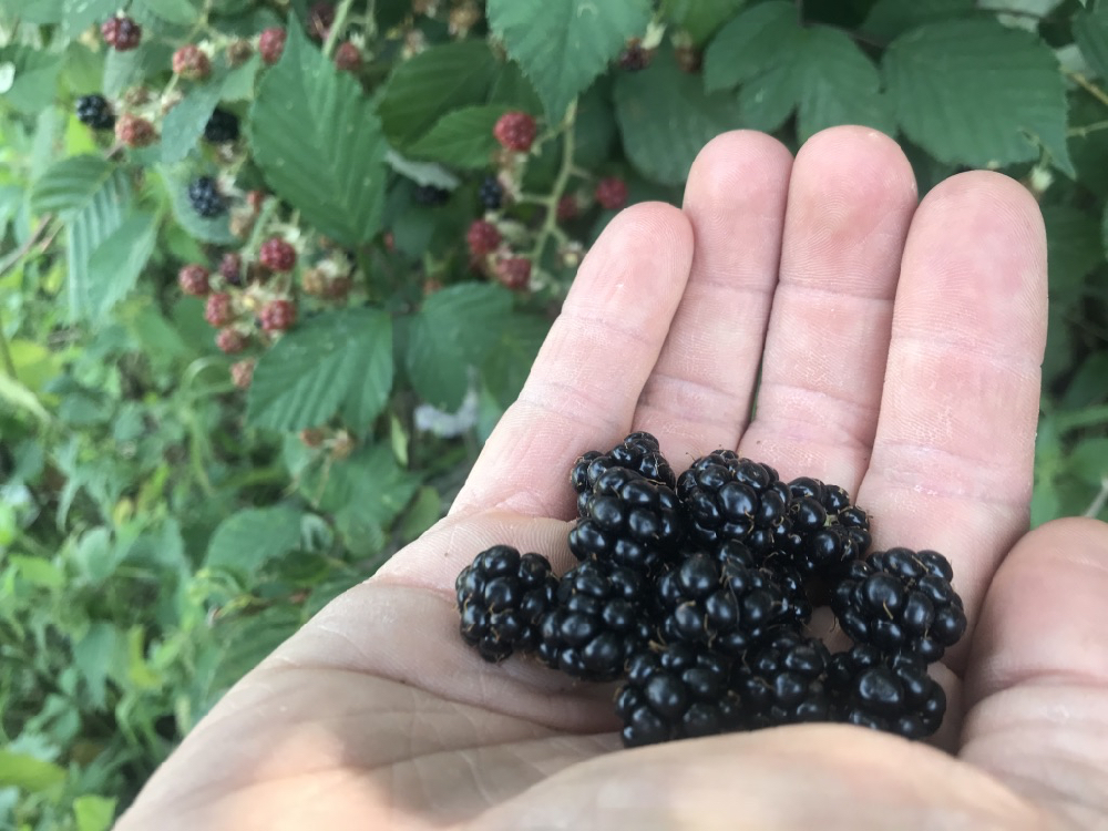 20170830_elspeedo-paragliding-apt-beskydy-00027