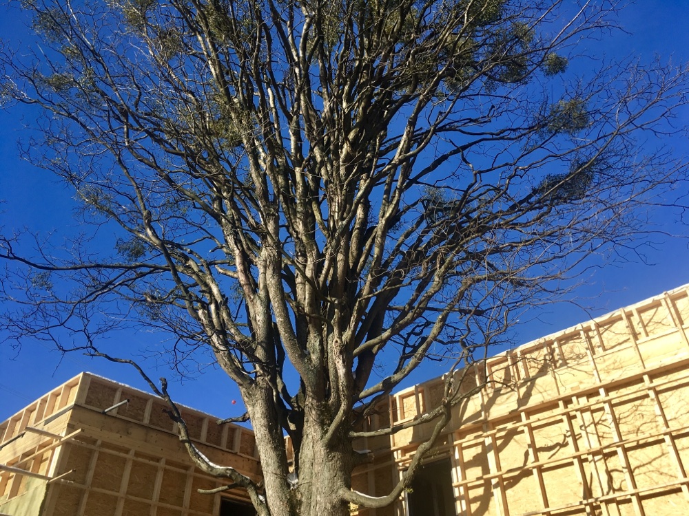 2368cce2-59f1-4496-ad74-4fce70ee3e84