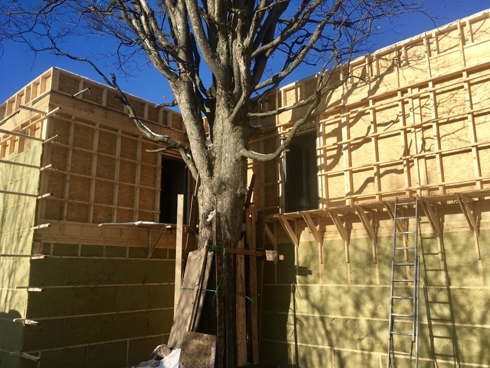 dc88e60e-027a-467a-8103-37c869037be3