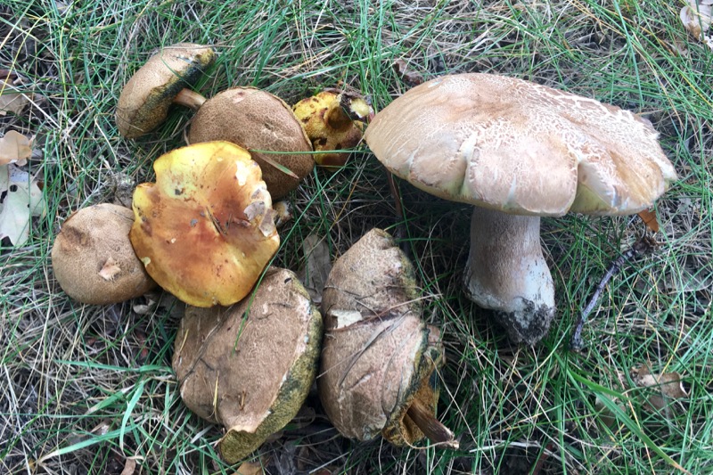 paragliding_kurz_22-103