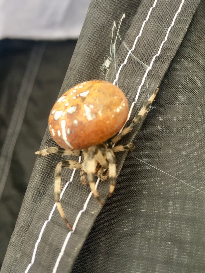 paragliding_kurz_22-5