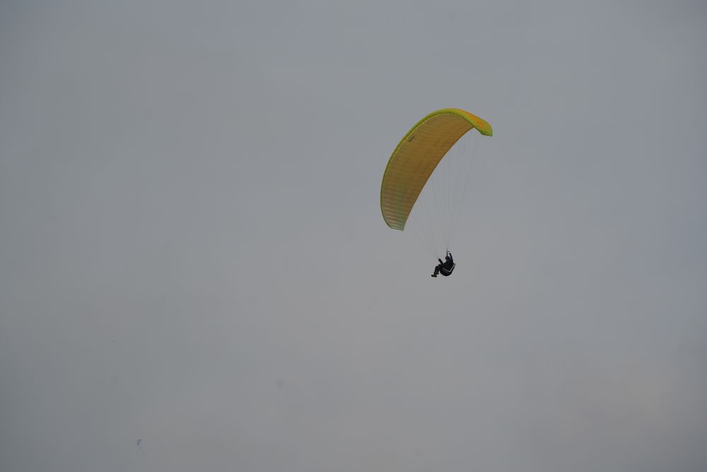 andalusia1-2023-001