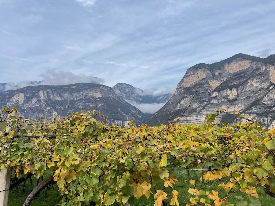 2024-bike-trip-s-vou-14-z-72