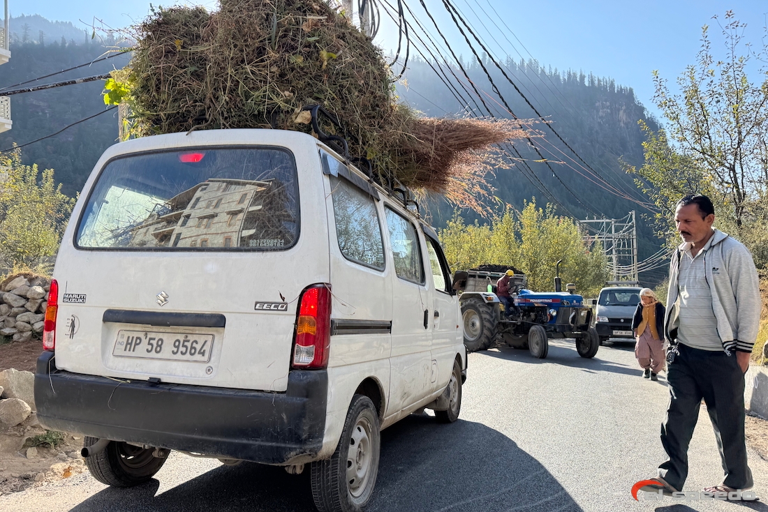 20241106_elspeedo_bir-billing-manali_00082