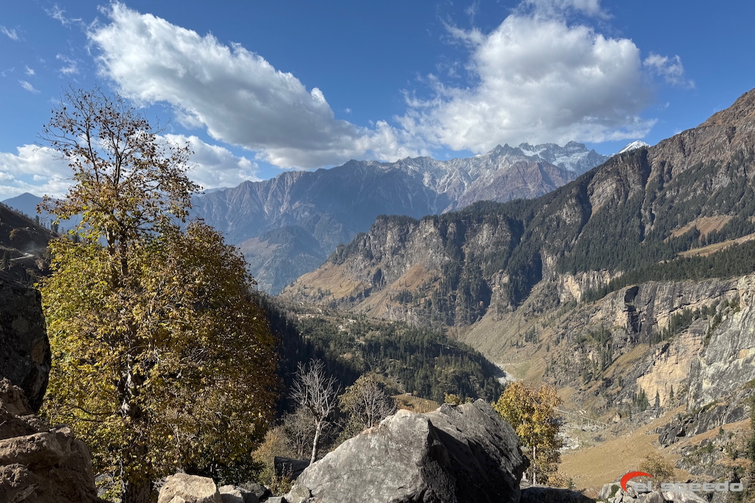 20241106_elspeedo_bir-billing-manali_00085