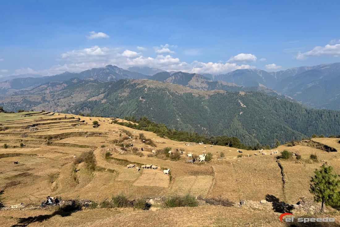 20241106_elspeedo_bir-billing-vol-bivouac-360_00029