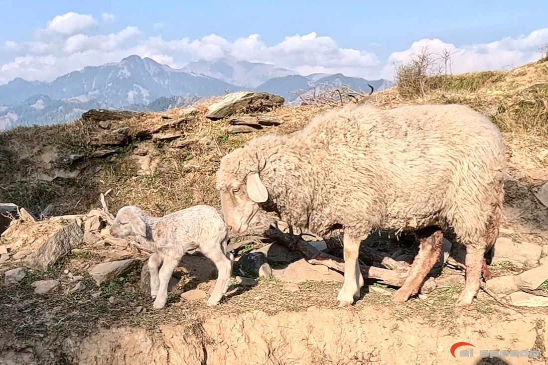 20241106_elspeedo_bir-billing-vol-bivouac-360_00031