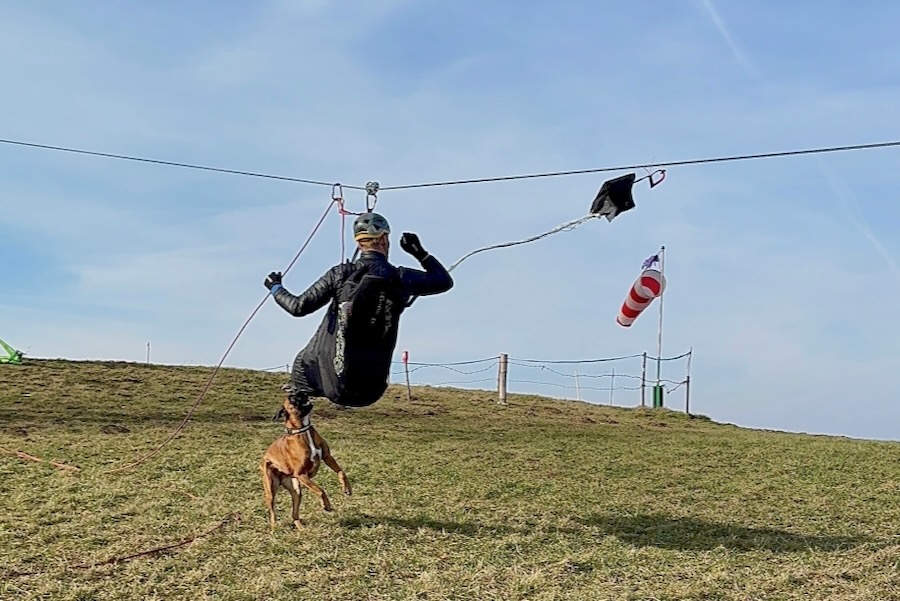 parasem_1_2025-28-z-99