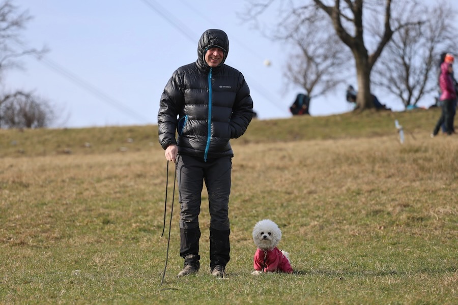 parasem_1_2025-43-z-99