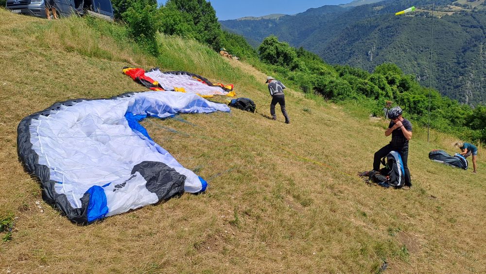 at-daja-07-2025-t001