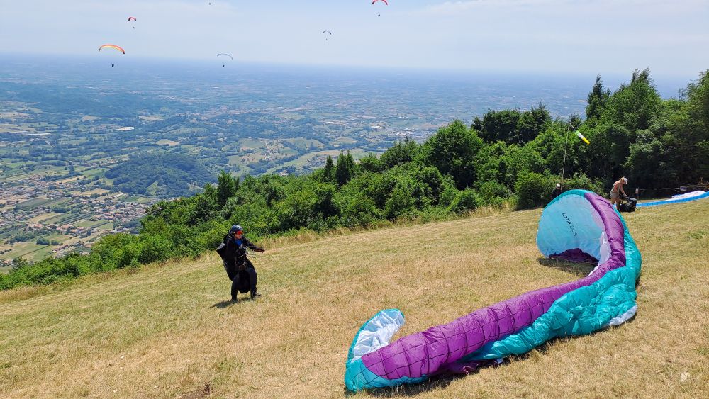 at-daja-07-2025-t002