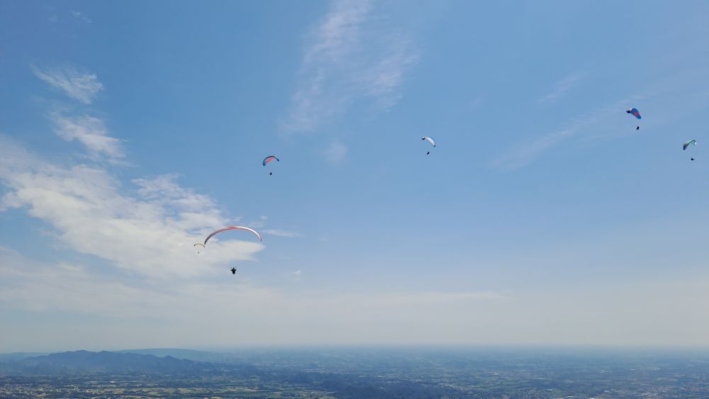 at-daja-07-2025-t004