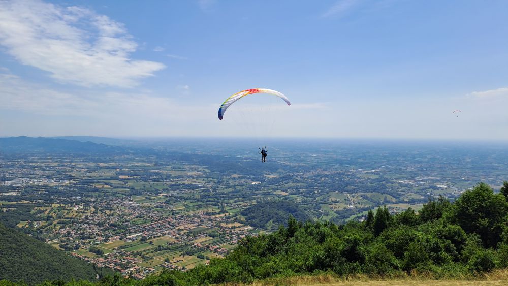 at-daja-07-2025-t005