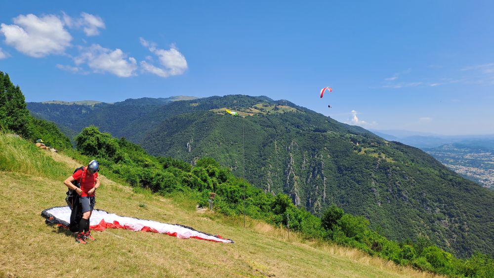 at-daja-07-2025-t006