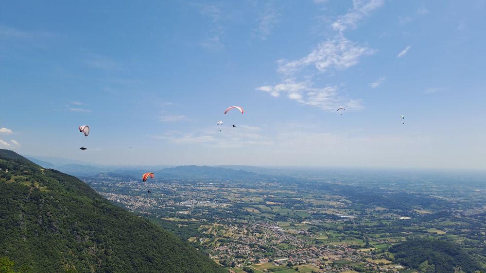 at-daja-07-2025-t009