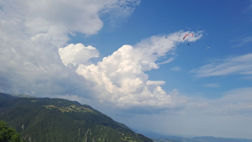 at-daja-07-2025-t018