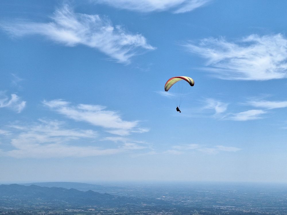 at-daja-07-2025-t036