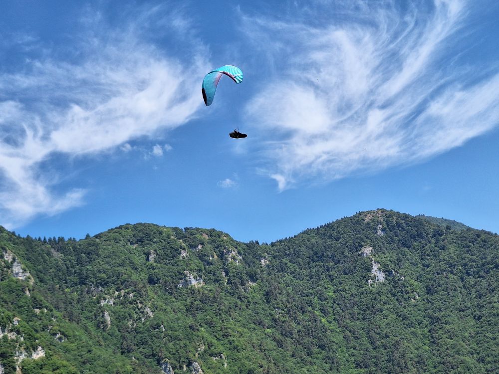 at-daja-07-2025-t037