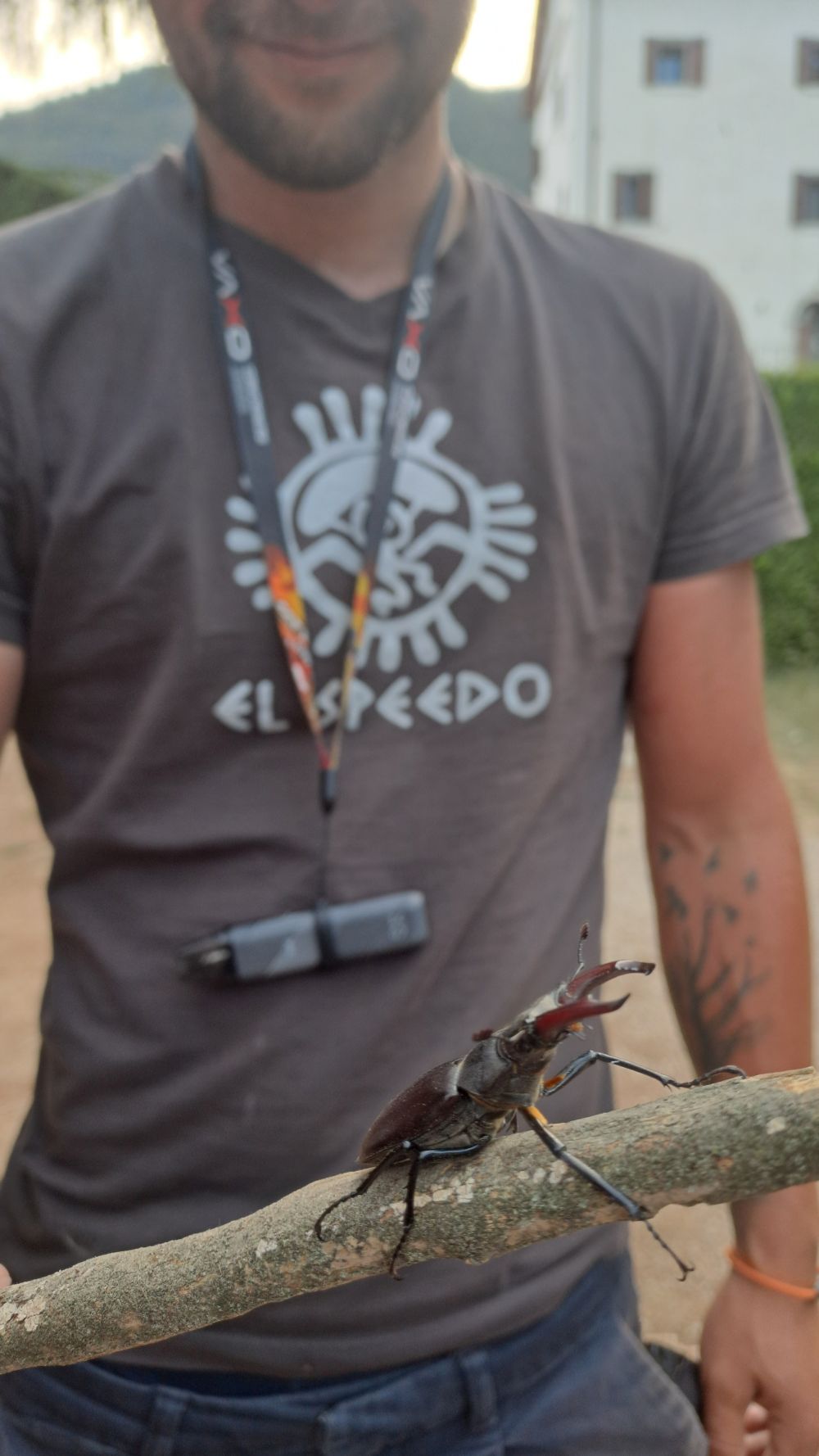 at-daja-07-2025-t061