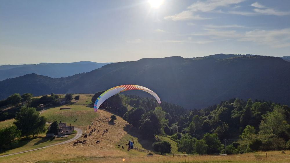 at-daja-07-2025-t098