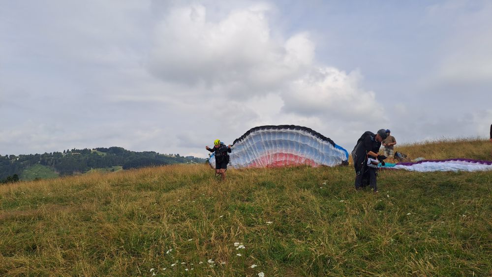 at-daja-07-2025-t109