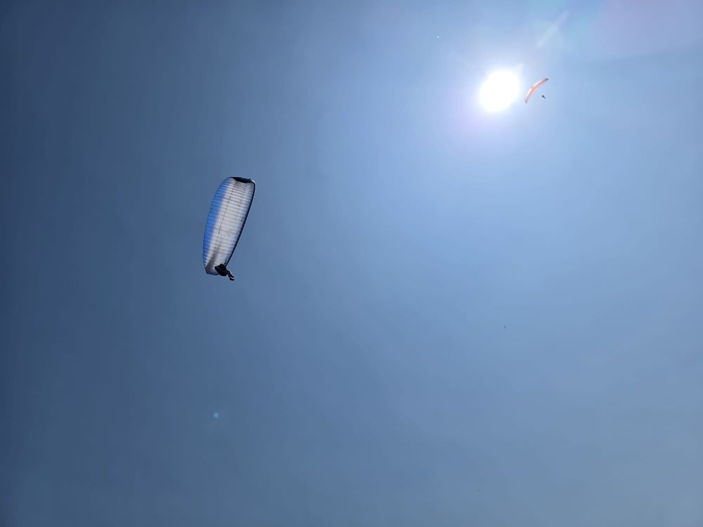 at-daja-07-2025-t125