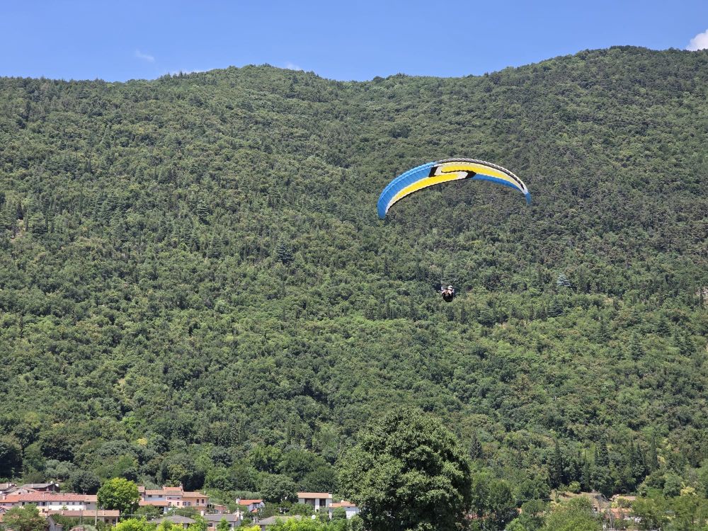 at-daja-07-2025-t133