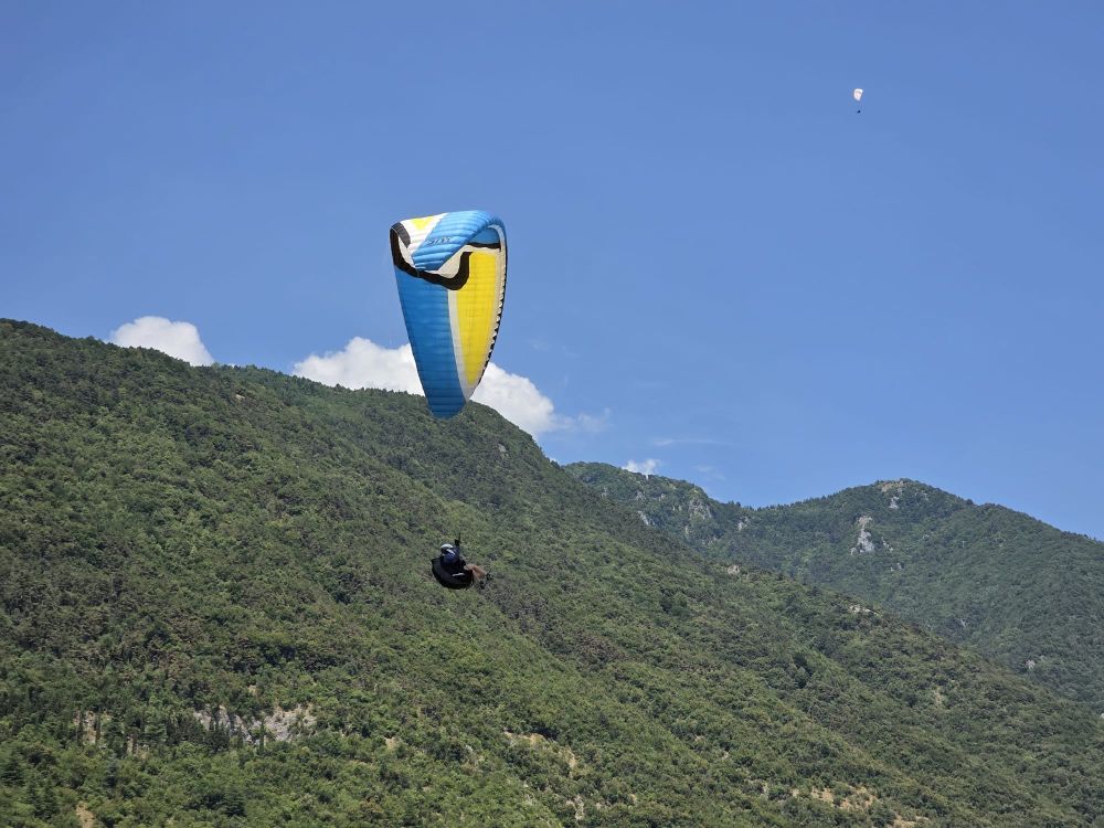 at-daja-07-2025-t135