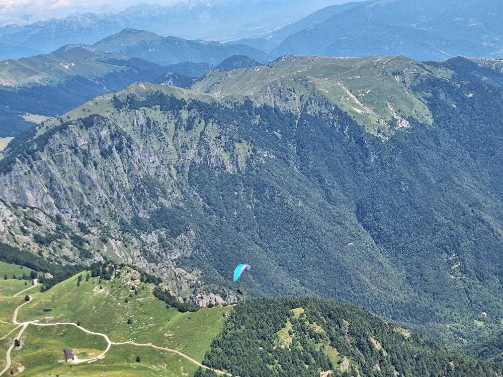 at-daja-07-2025-t145