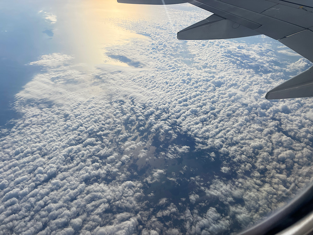 img_2025-10-17-165940484