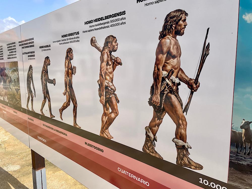 img_2025-10-17-165945399