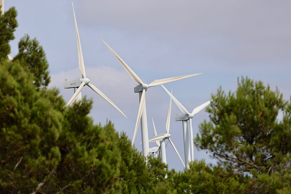 img_2025-10-17-165956173