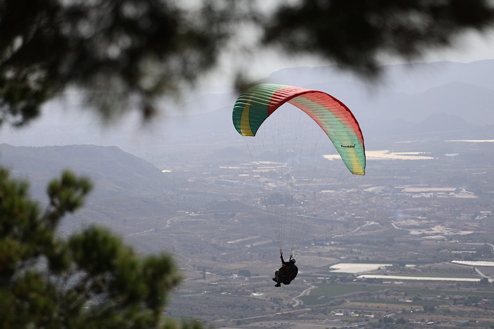 img_2025-10-17-170028179