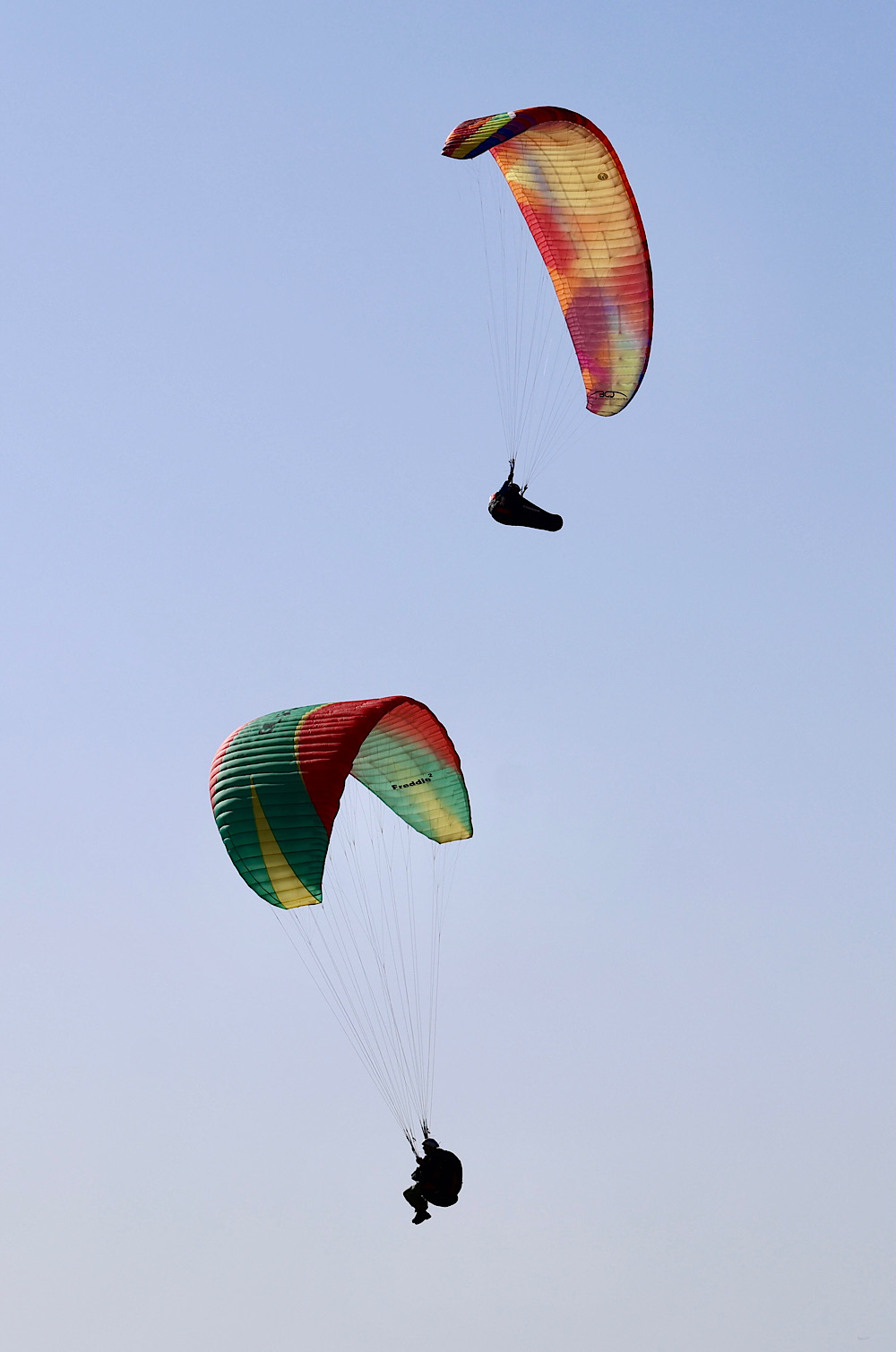 img_2025-10-17-170032485