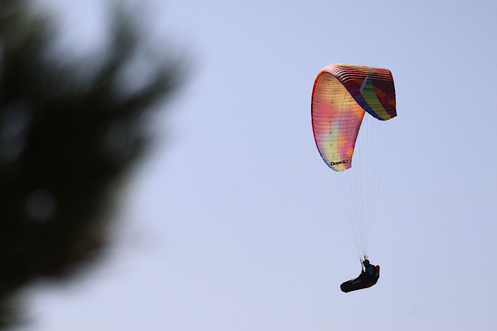 img_2025-10-17-170033264