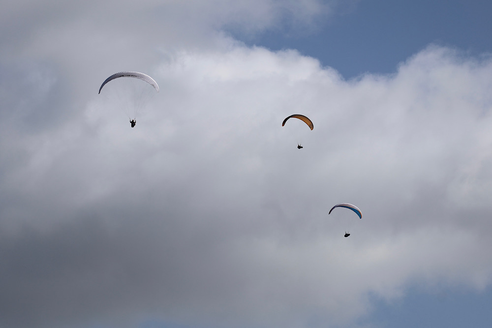 img_2025-10-17-170033916