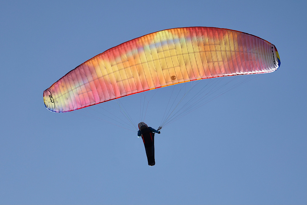 img_2025-10-17-170038205