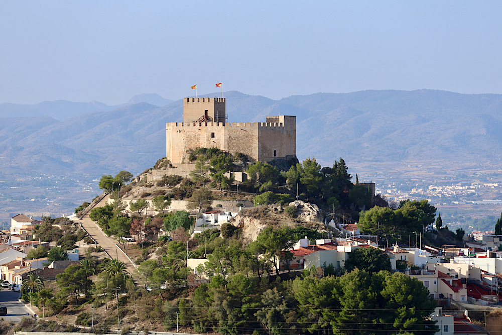 img_2025-10-17-170057346