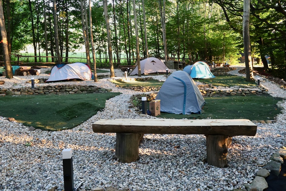 kemp-flight-park-27-z-31