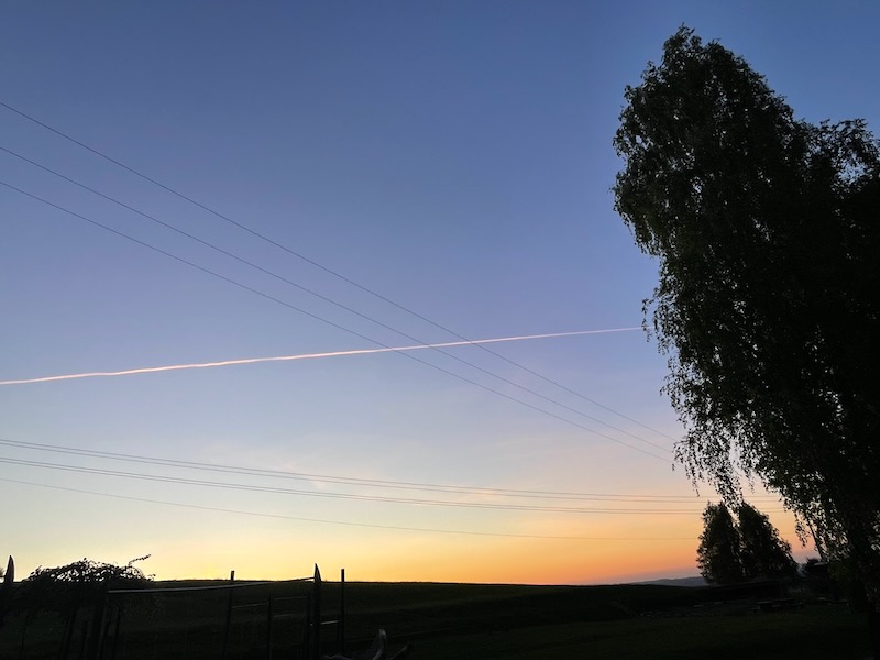 zk-vyber-2025-20-z-105