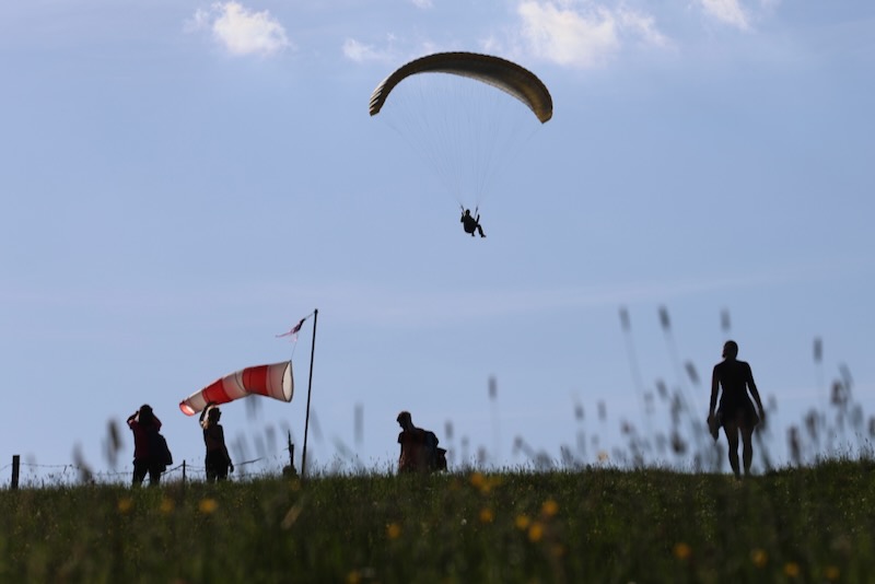 zk-vyber-2025-50-z-105