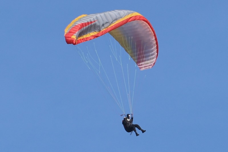 zk-vyber-2025-59-z-105