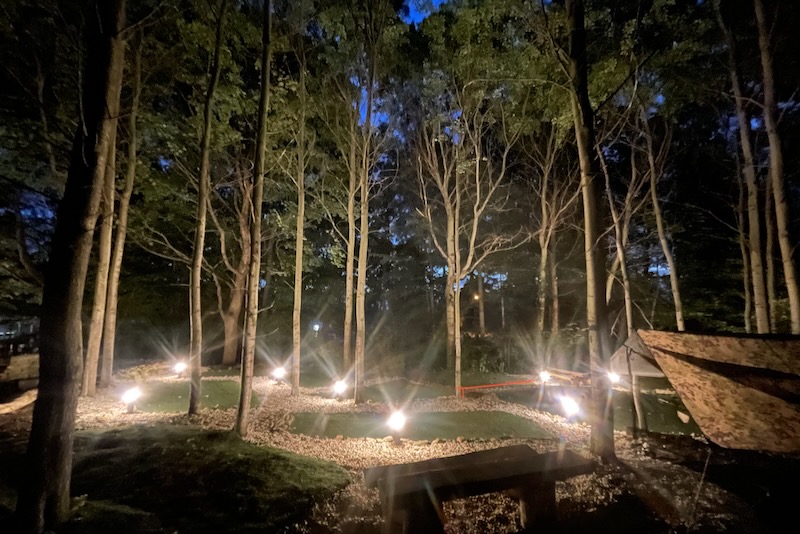 zk-vyber-2025-87-z-105