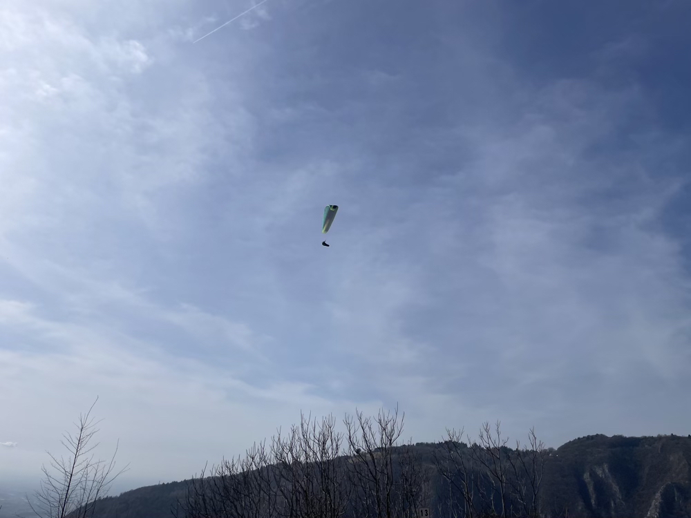 c21a089d-fc31-4f15-877d-edda0e553869