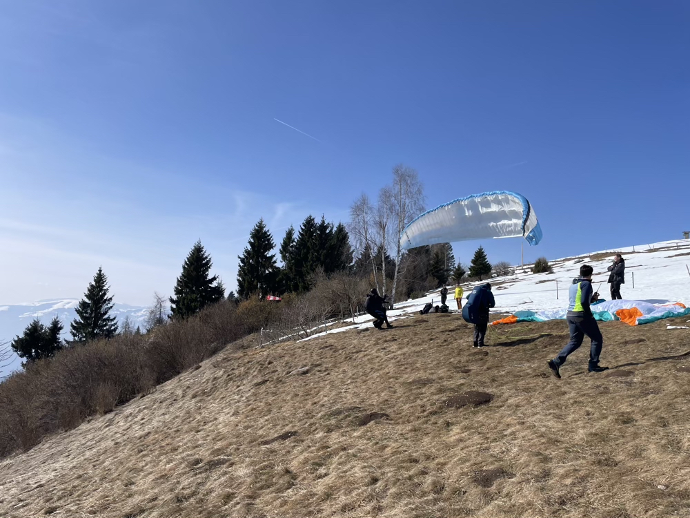 e51f2ab5-c91f-45de-bd70-695828203c08